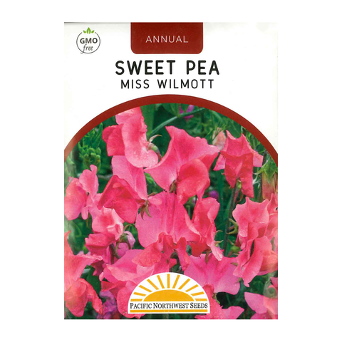 Pacific Northwest Seeds - Sweet Pea - Miss Wilmott