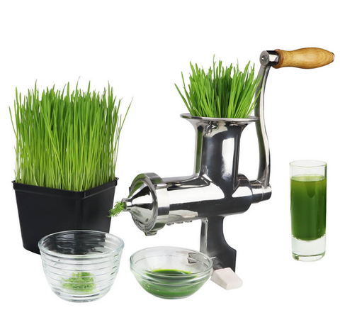Roots & Harvest Wheat Grass Juicer